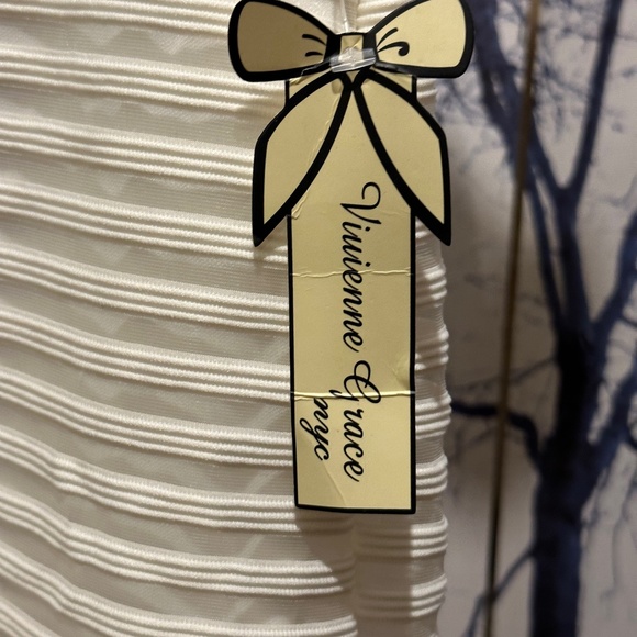 Viuienne Grace Women’s Sheer Skirt - Picture 5 of 6